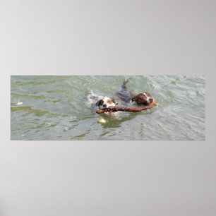 äkta kärlek poster