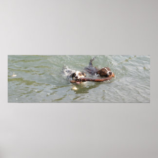 äkta kärlek poster