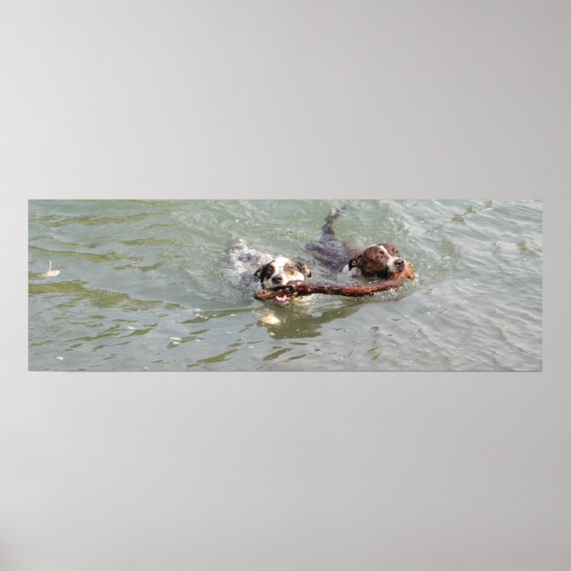 äkta kärlek poster (Framsidan)