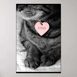 Äkta kärlek poster