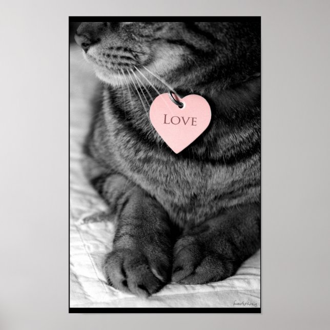 Äkta kärlek poster (Framsidan)