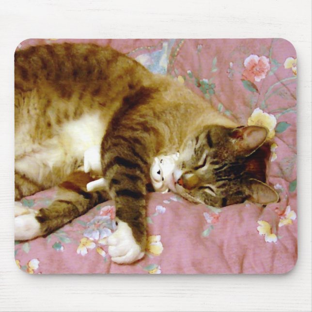 Äkta katt, Fake Cat 2 Musmatta (Framsidan)