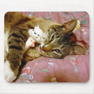 Äkta katt, Fake Cat Musmatta