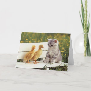 Äkta katter, Kittens kort, gåvor - Anpassa! Kort
