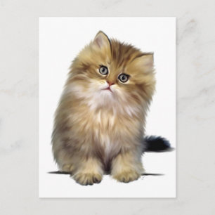 Äkta Kitten Postkort Vykort