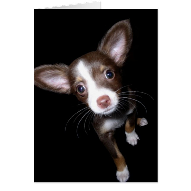 Äkta marionett hälsningskort (Framsidan)