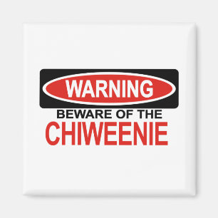 Akta sig av Chiweenie Magnet
