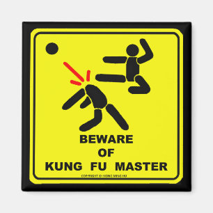 AKTA SIG AV DEN LEDAR- KUNG FU MAGNET
