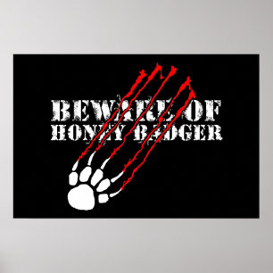 Akta sig av honey badger poster