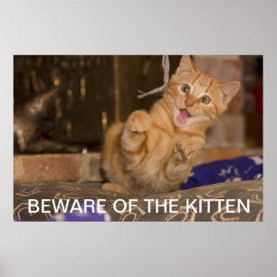 Akta sig av kattungen poster
