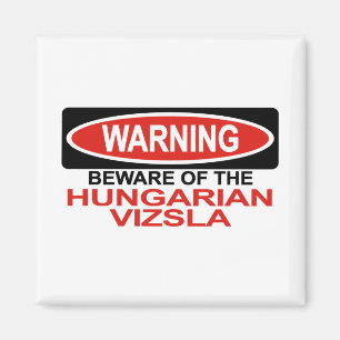 Akta sig av ungerska Vizsla Magnet