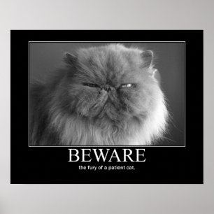 Akta sig raseriet av ett tålmodigt kattkonstverk poster