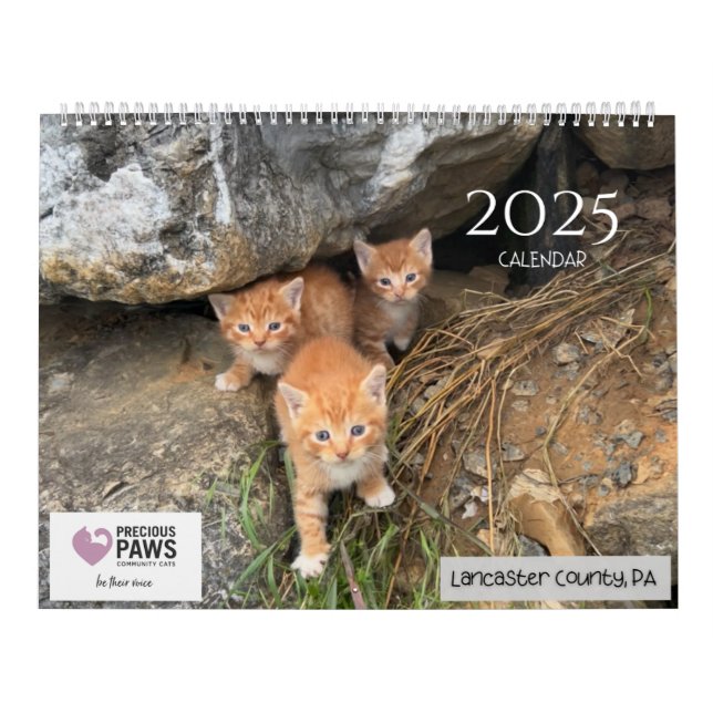 Äkta Tassar 2025-kalender Kalender (Omslag)