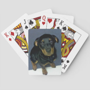 Äkta uppspelningskort för rottweiler Puppy Casinokort
