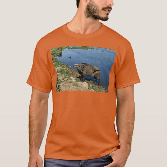 Äkta vietnamesiska bufflar och risfält t shirt (Framsida)