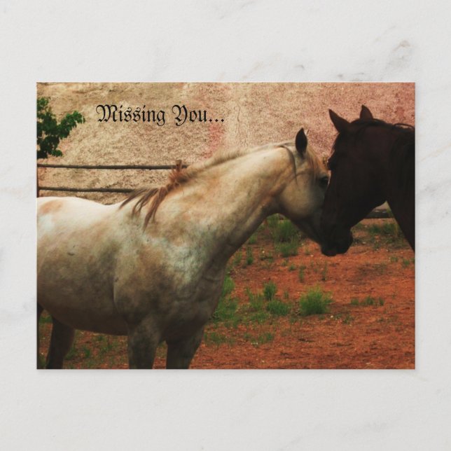 Äkta viskare... vykort (Framsida)