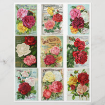 Äktans Vintage blomningskatalog för utsäde omfatta