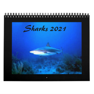 Aktiekalender 2021 kalender