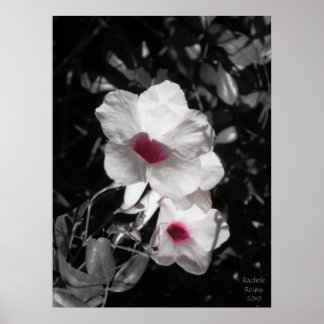 Aktiv prestationsförmåga poster