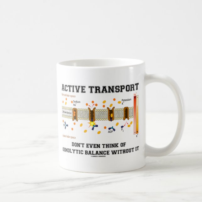 Aktiv transport Tänka inte av osmolytisk balans Kaffemugg (Höger)