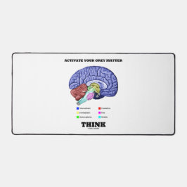 Aktivera din Grått Matter Tänka Anatomiskt hjärna