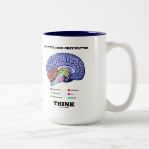 Aktivera din Grått Matter Tänka Anatomiskt hjärna Två-Tonad Mugg