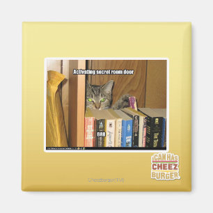 Aktivera dörr för hemligt rum magnet