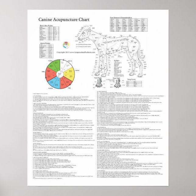 Akupressionsdiagram för hund poster (Framsidan)
