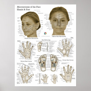 Akupressurpunkter Ansikte Hand Fötter Poster