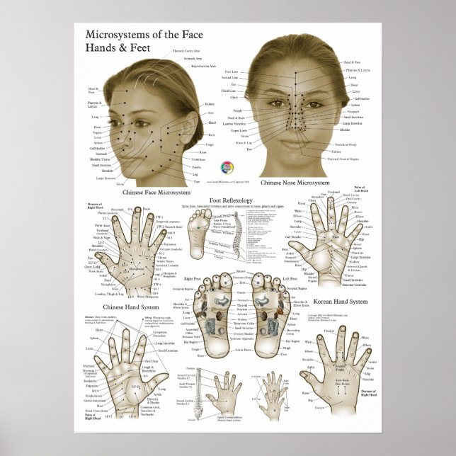 Akupressurpunkter Ansikte Hand Fötter Poster (Framsidan)
