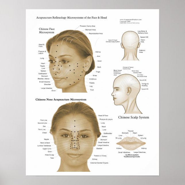 Akupunktur Reflexologi Ansikte & Head Microsystems Poster (Framsidan)