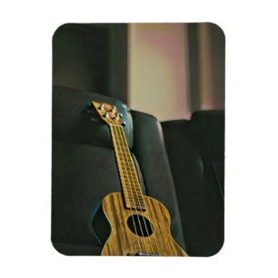 Akustiska baser, elektrisk gitarr-gåva magnet