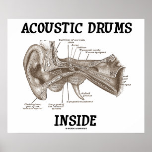 Akustiska drummar insida (anatomi i humant öron) poster