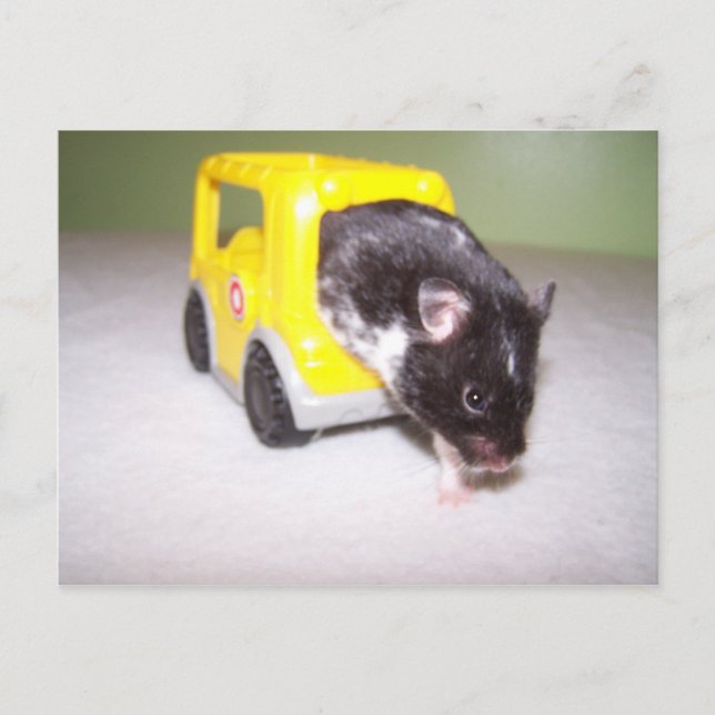 akut exit Noah Vykort (Framsida)