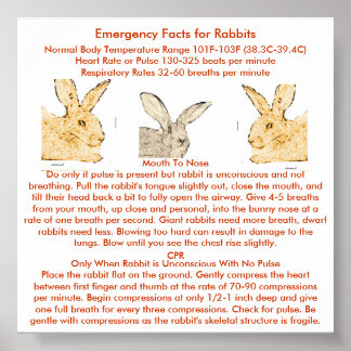 Akut Facts for Flemish Giant Rabbits Poster