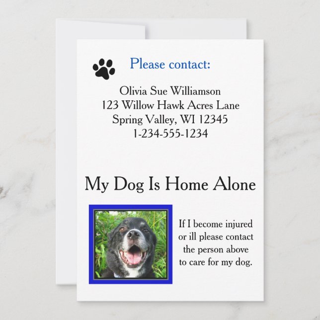 Akut Pet-kort (Hund) för vårdplånbok (Framsida)