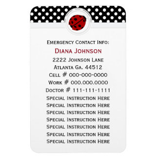 Akutets kontakt: Ladybug och Polka Dot Magnet