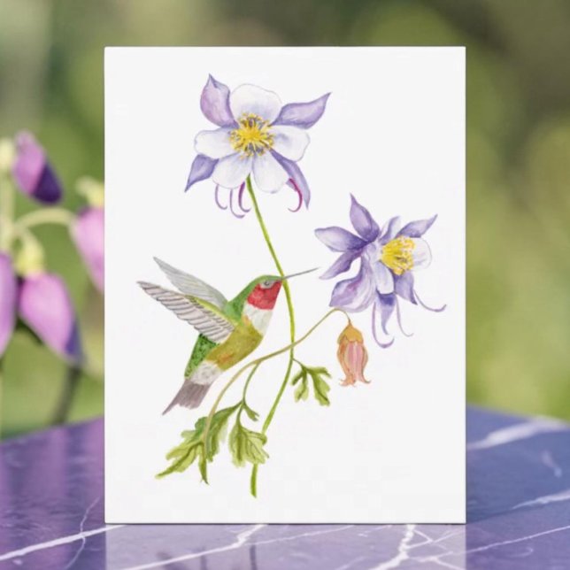 Akvarell Aquilegia med kolibri  Vykort (Skapare uppladdad)