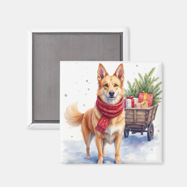 Akvarell Australian Stumpy Tail Cattle Dog Magnet (Front/Back)