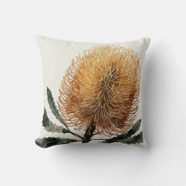 Akvarell Banksia Blomma Botanisk Konst  Kudde