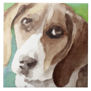 akvarell Beagle-porträtt Kakelplatta