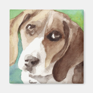 akvarell Beagle-porträtt Magnet