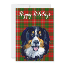 Akvarell Berner Sennenhund Anpassad