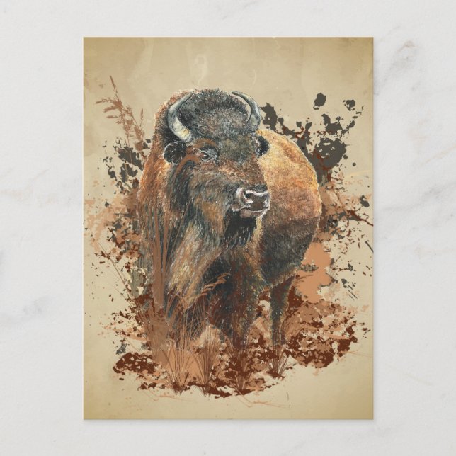 Akvarell Bison Buffel Djur Vilda Djur Natur Vilda Vykort (Framsida)