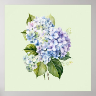 Akvarell Botanisk Blommig Hortensia Poster