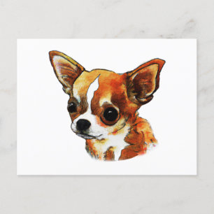 Akvarell Chihuahua Vykort