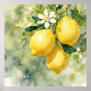 Akvarell Citron Gren Botanisk Sommar Poster