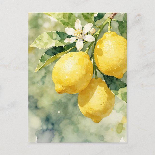 Akvarell Citron Gren Botanisk Sommar Vykort (Framsida)