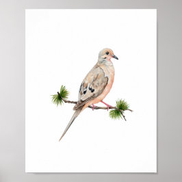 Akvarell Duvfågelmålning Poster