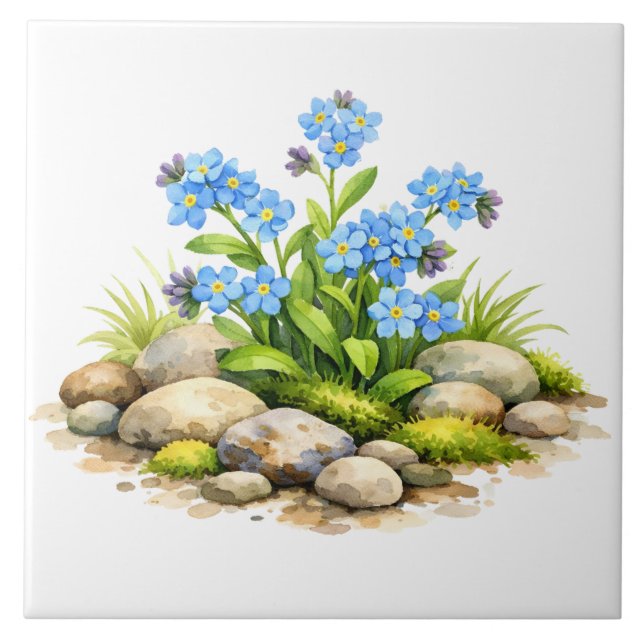 Akvarell Glem Mig Ej Blommor Vid Klipporna Kakelplatta (Framsidan)